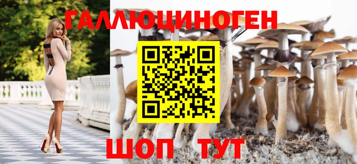Галлюциногенные грибы MAGIC MUSHROOMS  купить закладку  Котлас  Вход с VPN 